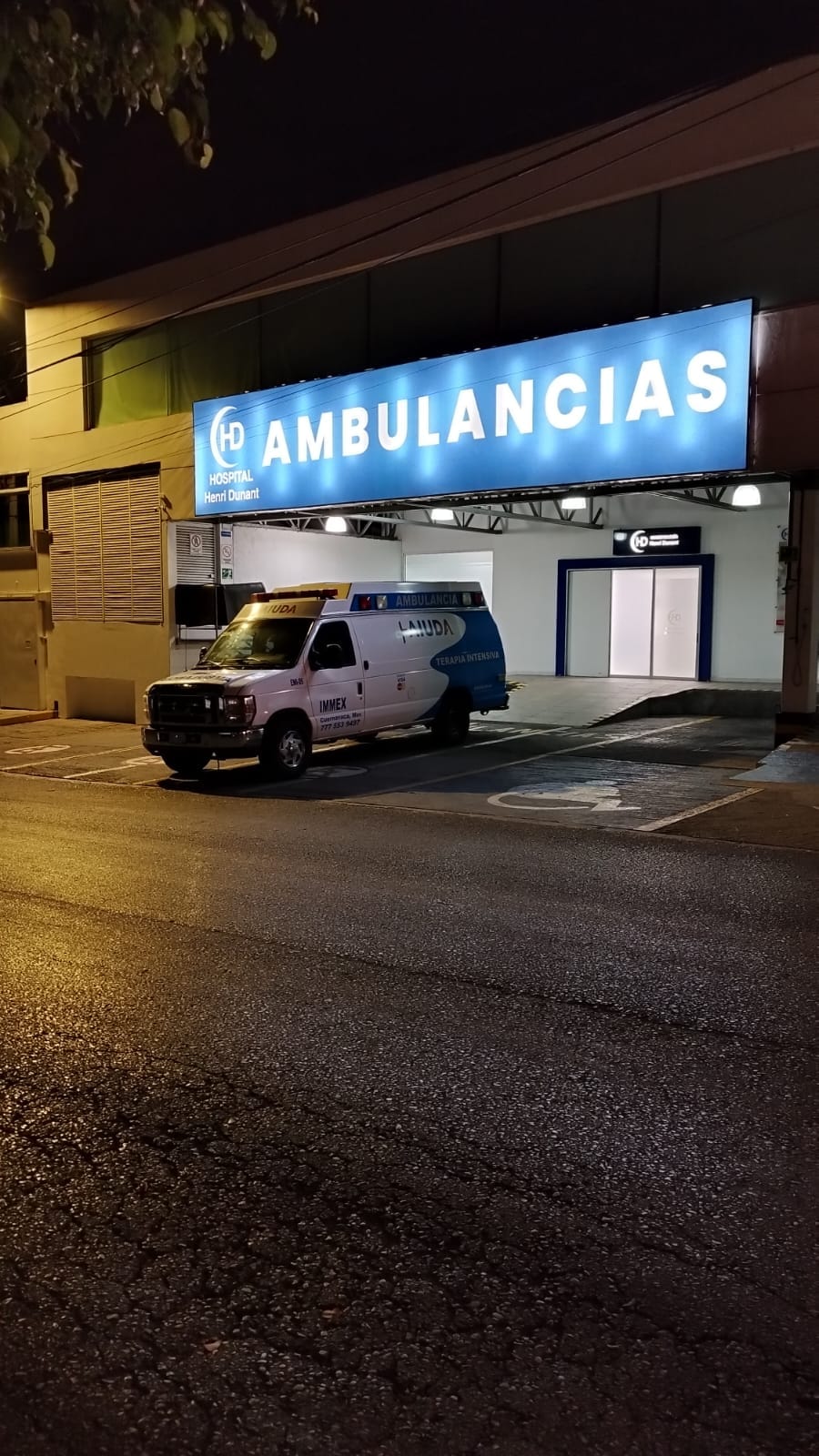 Logo IMMEX e Instituto Multidisciplinario de México